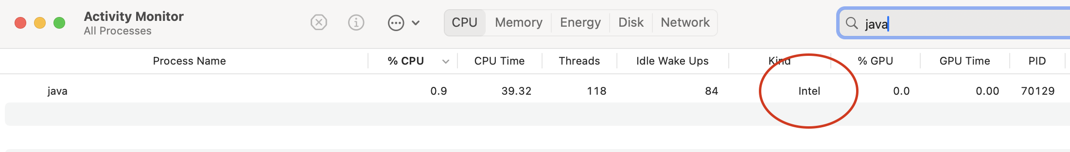 Activity Monitor with Java running under emulation